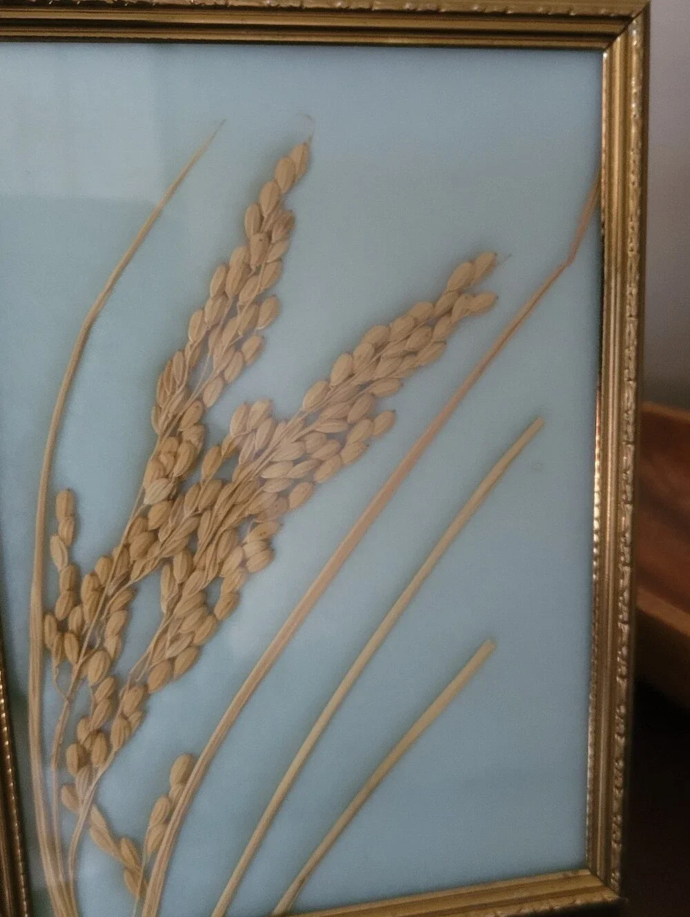 Vintage 3D Framed Pressed Rice Stalk Botanical Art - Gold Ornate Frame - MCM